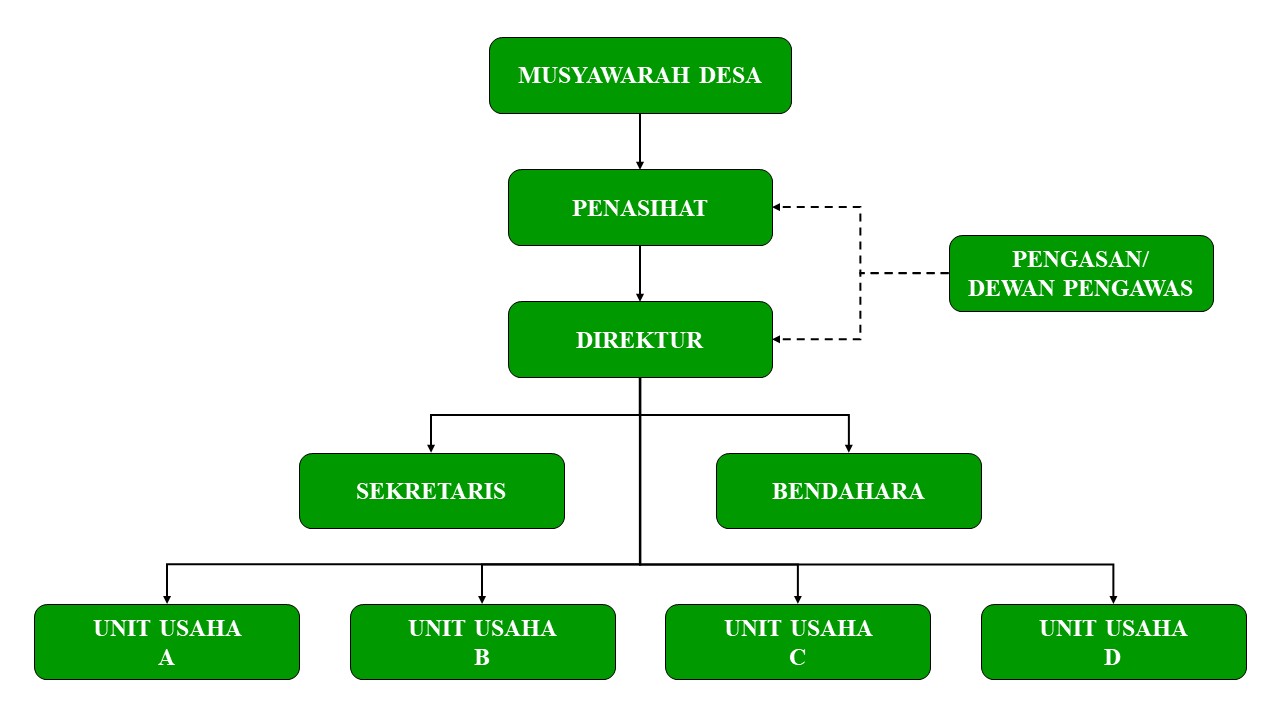 Tugas Pelaksana Operasional BUM Desa Menurut PP 11 Tahun 2021